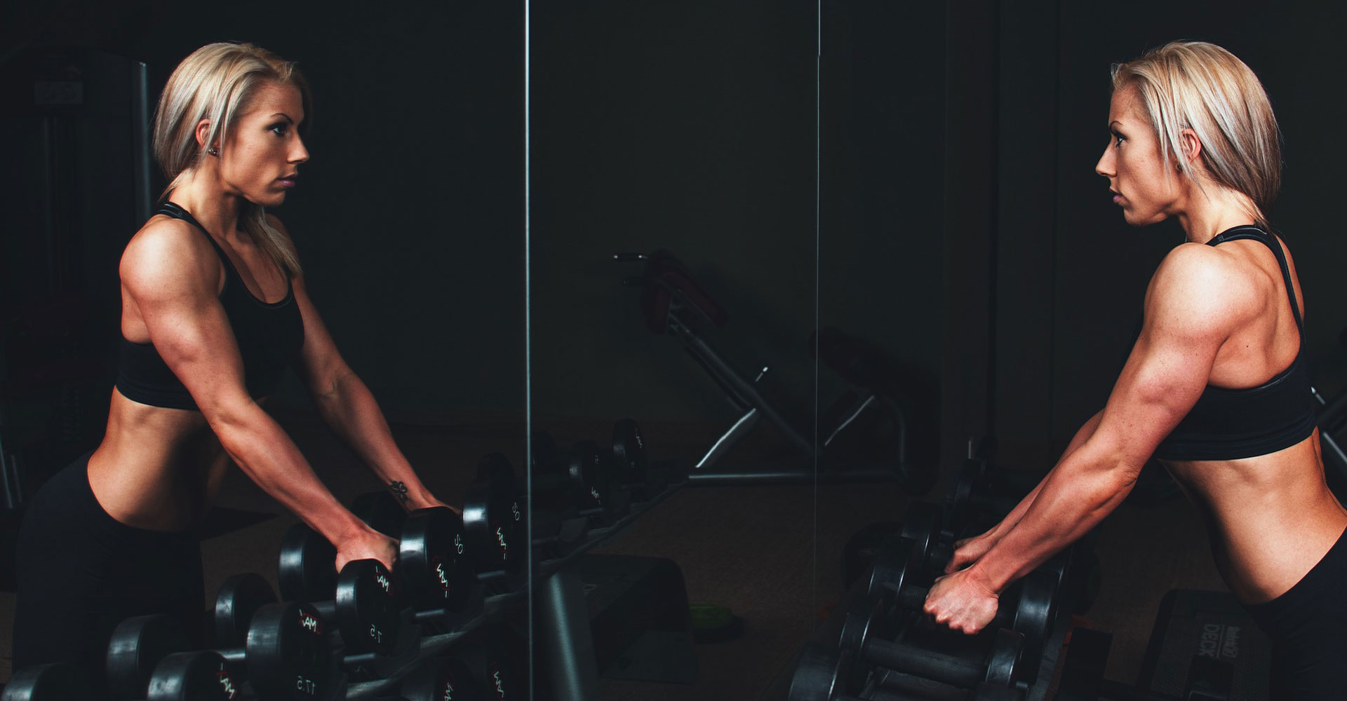 Work Hard, Play Hard